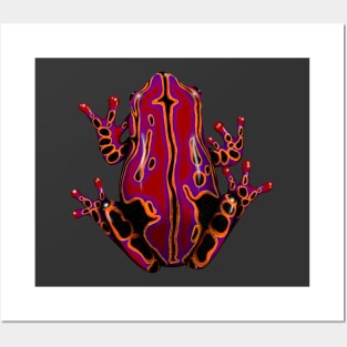 Red Poison Dart Frog Posters and Art